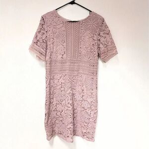 She + Sky Pink Lace Dress Large Cap Sleeve Lined Zip Coquette Fairy Dusty Pink